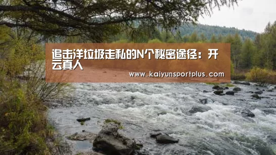 追击洋垃圾走私的N个秘密途径:开云真人(图1) 开云在线