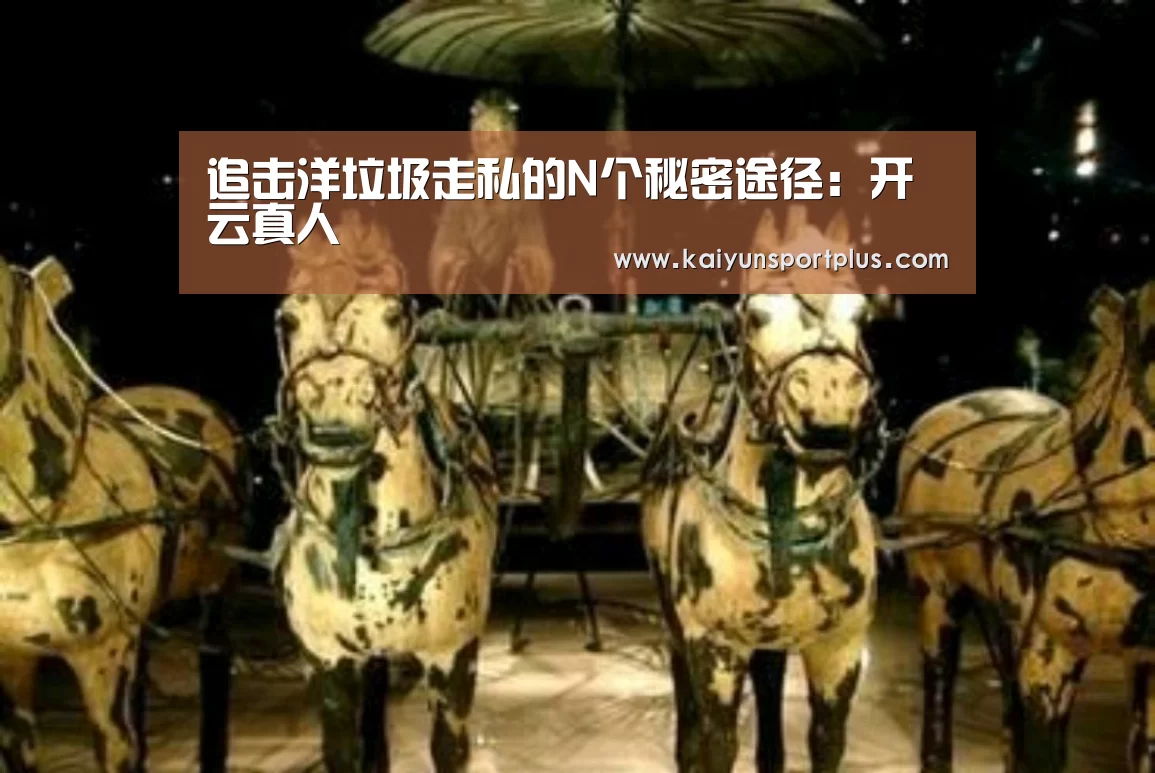 追击洋垃圾走私的N个秘密途径:开云真人(图2) 开云在线