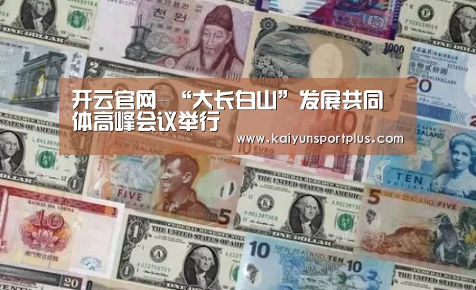 开云官网-“大长白山”发展共同体高峰会议举行(图2) 开云在线