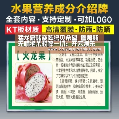 猛龙豪赌变阵终见希望 詹姆斯无情绝杀粉碎一切:开云娱乐(图2) 开云官网