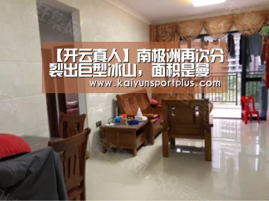 开云真人