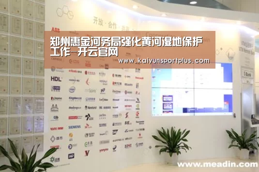 开云在线