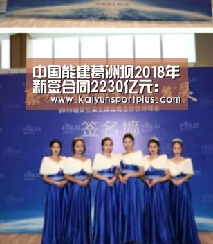 开云真人